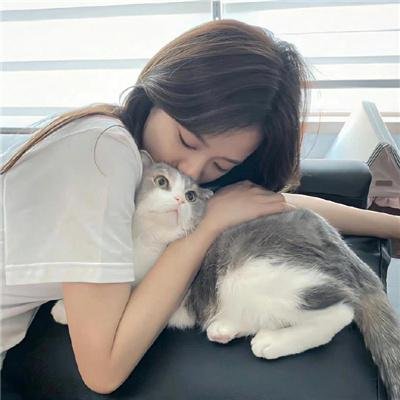 美国兔子的冒险