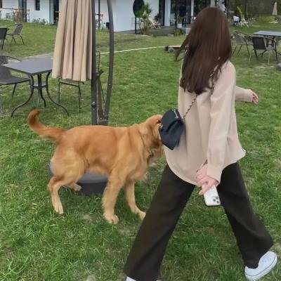 贝尔科实验